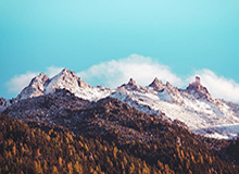 世界杯历史数据-上港3番战悉尼恐只上3外援 奥斯卡大概率缺席首战